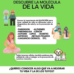 PROTOCOLO DE SALUD Y BIENESTAR