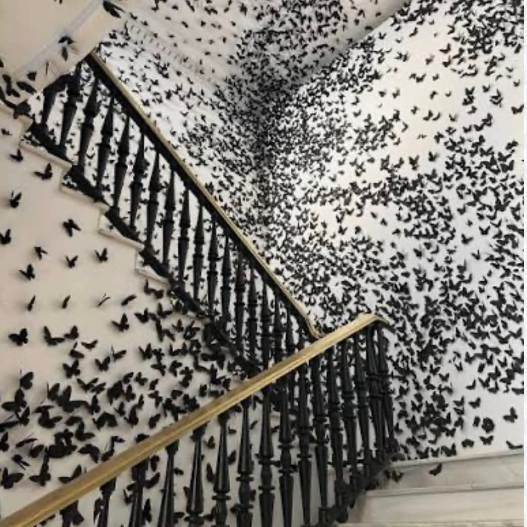 Activity photo